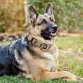 thumbnail image 5 of KBOOK Reflective Tactical Dog Collar for Medium Large Dogs Heavy Duty Nylon Dog Collars with Handle(Black,xl), 5 of 6