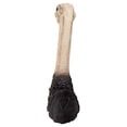 thumbnail image 4 of Design Toscano Ostrich Bird Trophy Wall Sculpture, 28 Inches, Full Color, 4 of 6