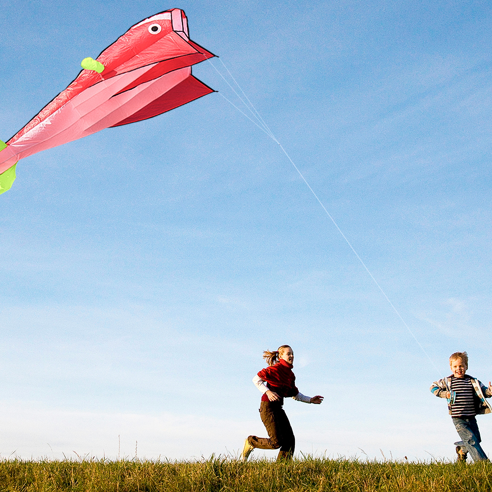 Giant Kite, Outdoor Fun Sports Kite, Frameless Soft Parafoil Dolphin Kite (Grip Wheel + 400 Meter Line) - image 2 of 8
