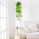 thumbnail image 4 of Plantas colgantes artificiales BLEUM CADE Pothos Vines con maceta, 4 of 9