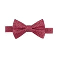 thumbnail image 1 of Countess Mara Nœud Papillon Médaillon Auto-Noué pour Hommes, Rouge, Taille Unique, 1 of 1