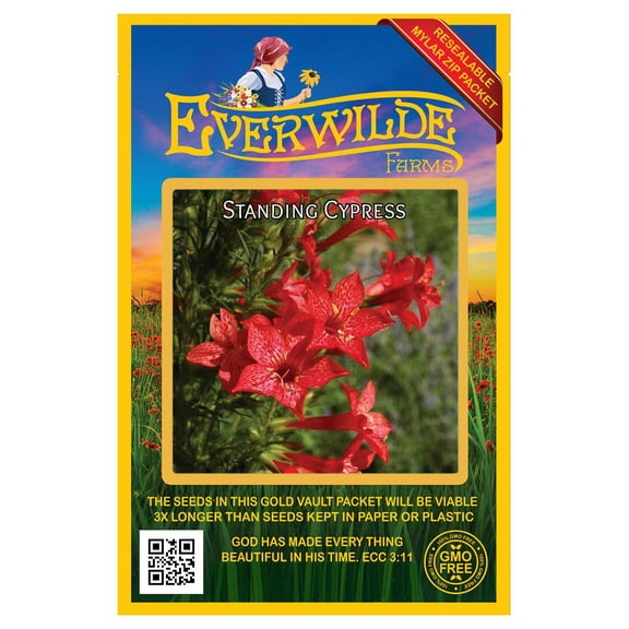 Everwilde Farms - 1200 Standing Cypress Native Wildflower Seeds - Gold Vault Jumbo Bulk Seed Packet