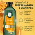 thumbnail image 2 of Herbal Essences Honey Daily Moisture Sulfate Free Shampoo, Nourishes Dry Hair, with Certified Camellia Oil and Aloe Vera, For All Hair Types, Especially Dry Hair, 2 of 14