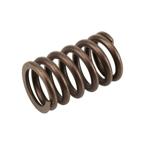 GM Genuine Parts Valve Spring