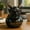 Black, variant on Krampus Ducks Collectible Figurines - Gothic Holiday Decorative Mini Duck Statues for Desktop Bedroom Living Room, Perfect for Cruise Duck Collection & Unique Christmas/Halloween Gift