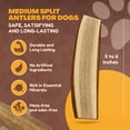 thumbnail image 3 of Masticables para perros WhiteTail Naturals de asta de alce y ciervo rojo, 6 unidades, 3 of 9