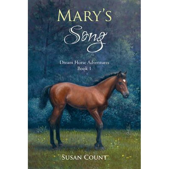 Pre-Owned Mary's Song (Paperback) 0997088338 9780997088335