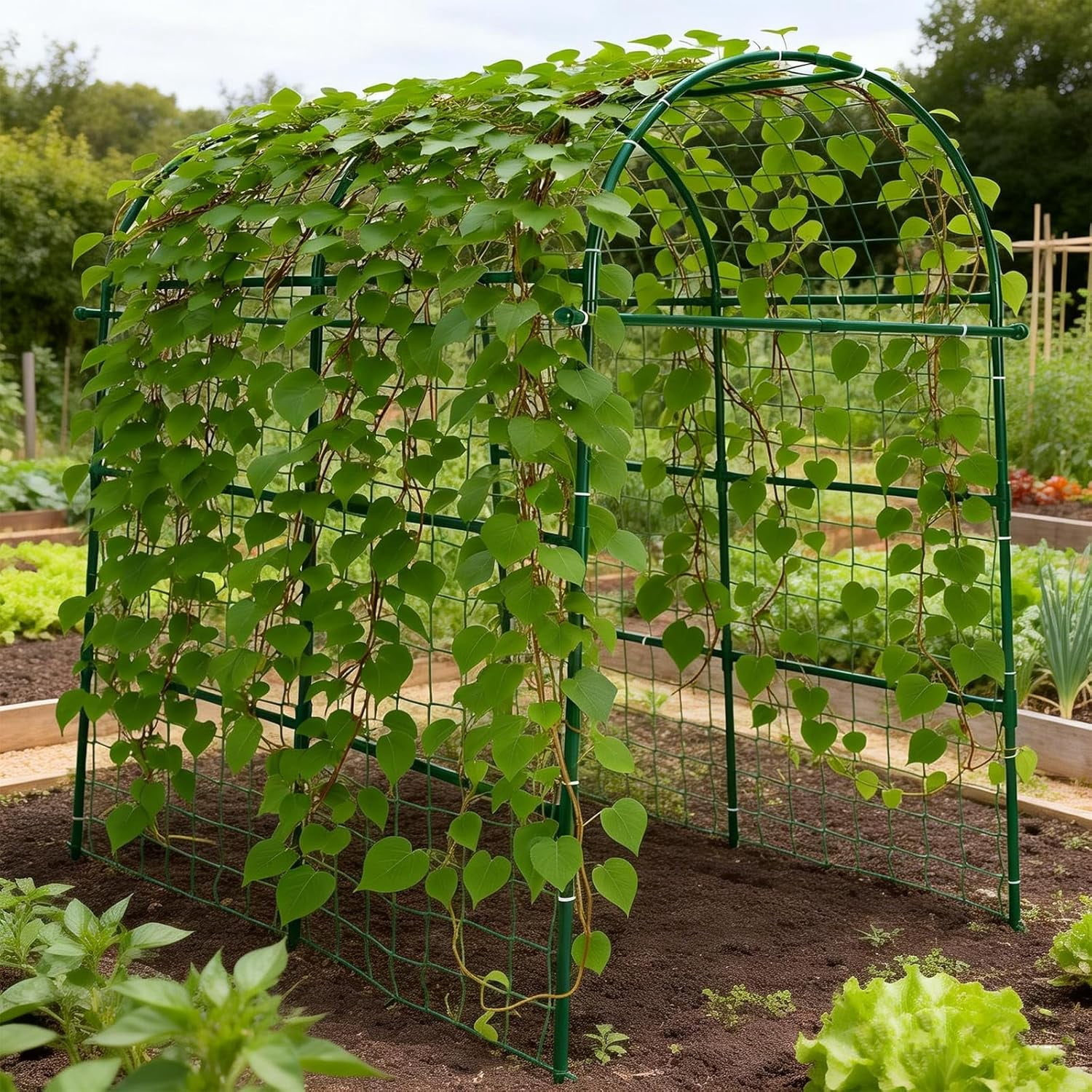Garden Arch Trellis for Climbing Plants Outdoor - 83" H*71" W*43" L Large Rustproof Garden Trellis, Heavy Duty Grape Trellis, Tunnel Trellis for Melons, Pumpkins, Cucumbers, Peas(Black)