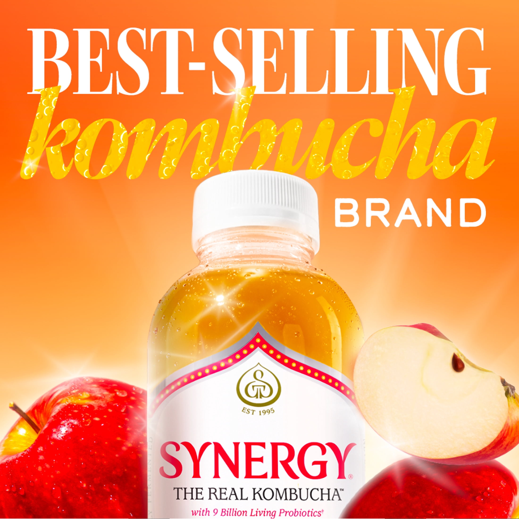 Synergy Honeycrisp Apple Kombucha 16 fl oz