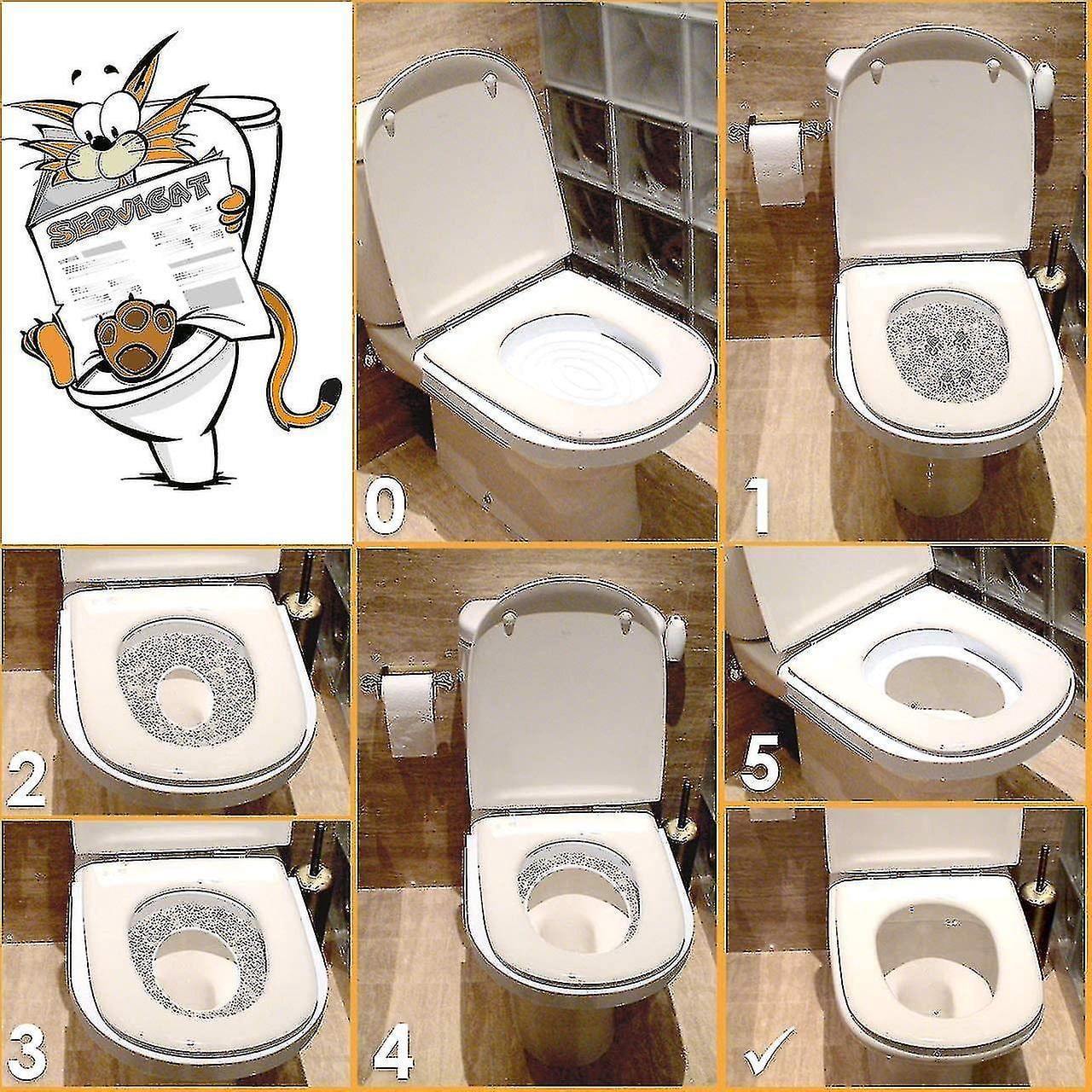 Kit Apprentissage Toilette Pour Chat - Anti-fuites, Non Collant, Stable (39x36,5 Cm) - Pour Appartement Ou Salle De Bain - 9