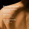 thumbnail image 2 of Tónico para axilas PROBIOTIC de Bella Skin Beauty - Menta verde, 2 of 5
