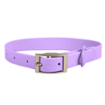 thumbnail image 1 of Conjunto de collar y correa para perro combinado: collares ajustables y duraderos para mascotas con correas para perros para, 1 of 5