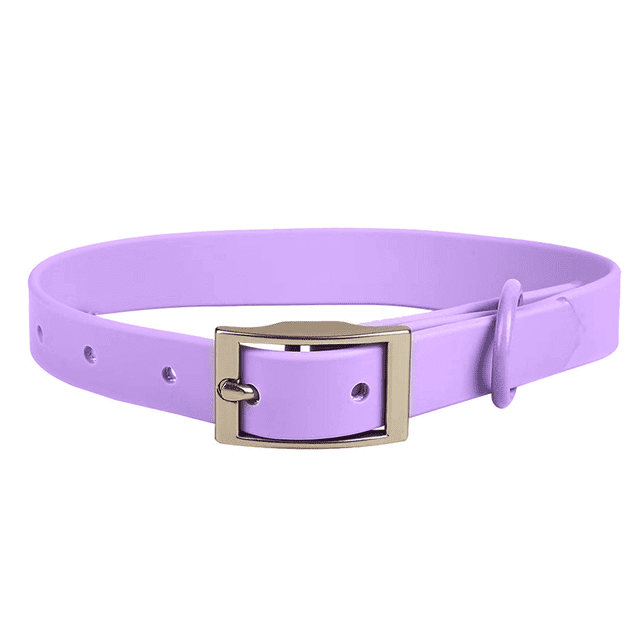 Conjunto de collar y correa para perro combinado: collares ajustables y duraderos para mascotas con correas para perros para