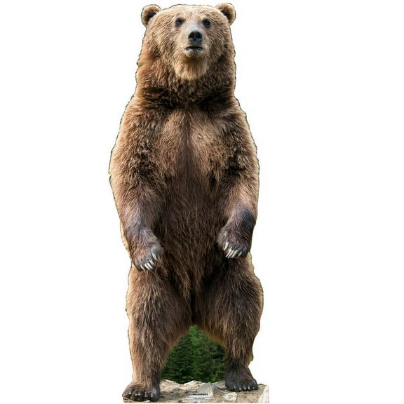 SC2563 Grizzly Bear Cardboard Cutout Standee Standup