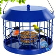 thumbnail image 1 of Comedero para pájaros Gbekery Caged Bluebird para gusanos de la harina, color azul metálico, 1 of 7