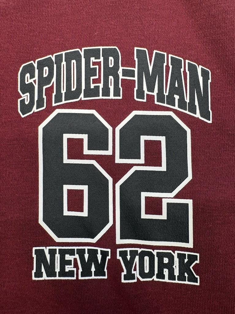 Spider-Man Boys' Front Back 1962 Graphic Hoodie with Long Sleeves, Size 4-18