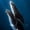 Humpback Whale And Its Calf, variant on Elephant Stock Masai Mara Giraffe Family Wall Art - Vertical Canvas Wall Art - Living Room Wall Decor - Animal Canvas - Gray And Black Decor By Danita Delimont - 8" x 12"