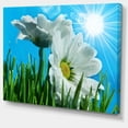 thumbnail image 2 of Belles Camomilles en Plein Soleil - Impression sur Toile Florale, 2 of 3