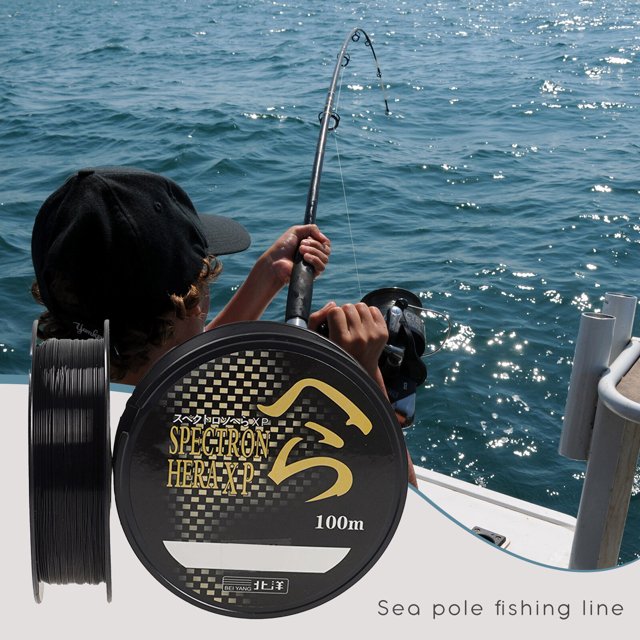 Ligne de Pêche à Traction Super Solide, Imperméable et Résistante à l'Usure, Équipement de Pêche 100 m, Outil de Pêche