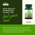 thumbnail image 6 of Swanson Oral Probiotic Formula - Oral and Immune System Health - Natural Strawberry Flavor 30 Chew tablets, 6 of 8