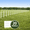 White, variant on Y&M Decorative Black Garden Border Fence 16.7inX12.8in Metal Wire Edging Flower Bed Folding Fences Panel Outdoor Garden Fencing Patio Edge Landscape for Yard