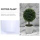 thumbnail image 4 of Planta esférica falsa de interior para decoración de ventanas, plantas artificiales de plástico para escritorio en maceta, 4 of 6