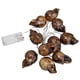 thumbnail image 2 of Decoraciones de Halloween BuyWeek cadena de luces LED con forma de calavera, 2 of 12
