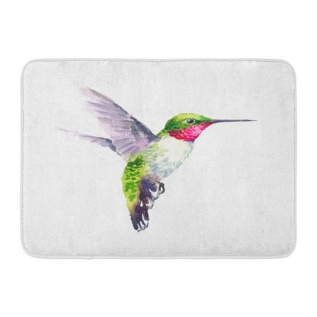 - KDAGR Colorful Air Watercolor Bird Hummingbird Flying Summer Garden Green Artistic Doormat Floor Rug Bath Mat 23.6x15.7 inch