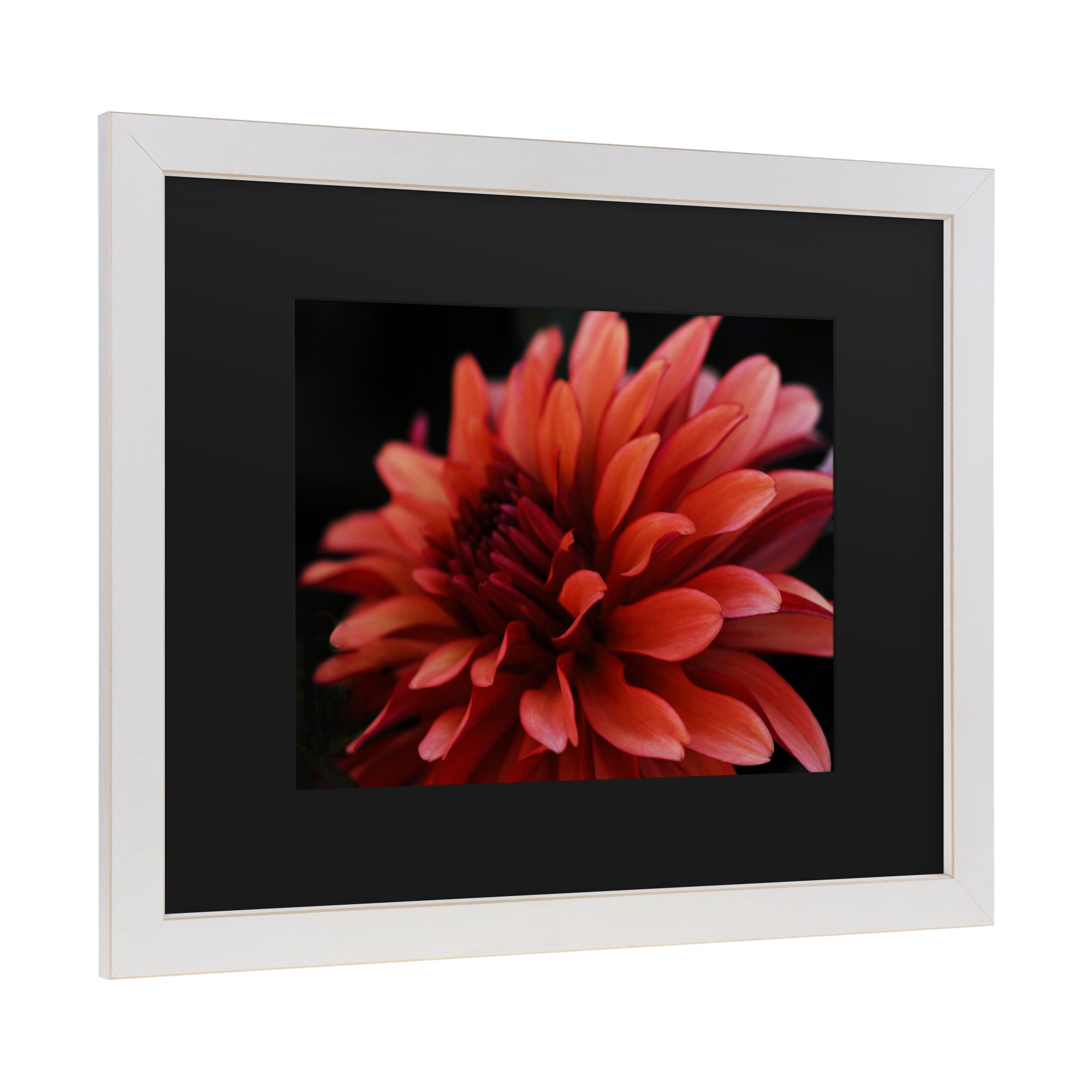 Trademark Fine Art 'Red Dahlia' Canvas Art by Kurt Shaffer