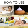 thumbnail image 3 of Aceite esencial Sun Rosemary 236 ml para el crecimiento del cabello y la piel, 3 of 6