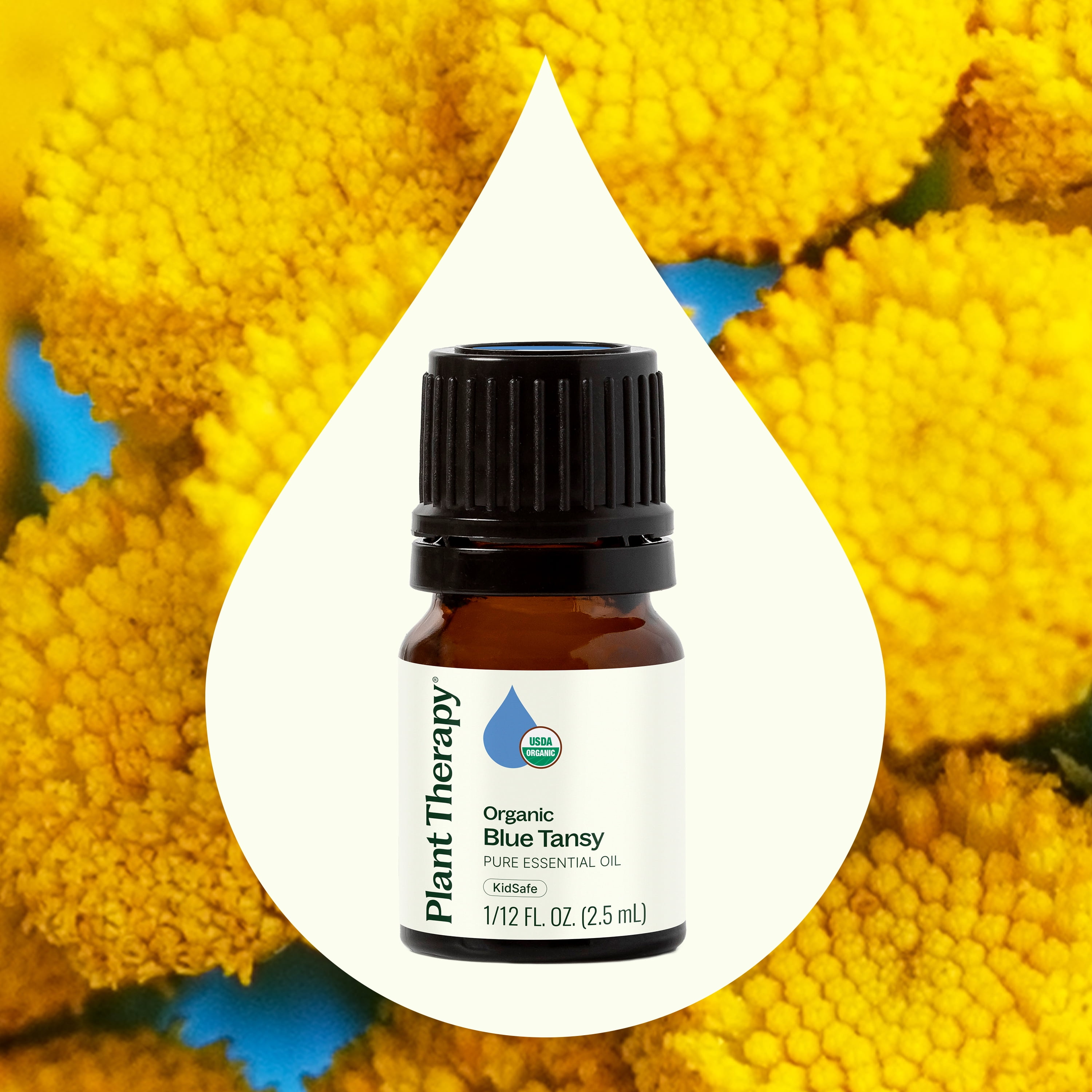 Plant Therapy Organic Blue Tansy Essential Oil 100% Pure, Undiluted, Natural Aromatherapy 2.5 mL (1/12 oz)