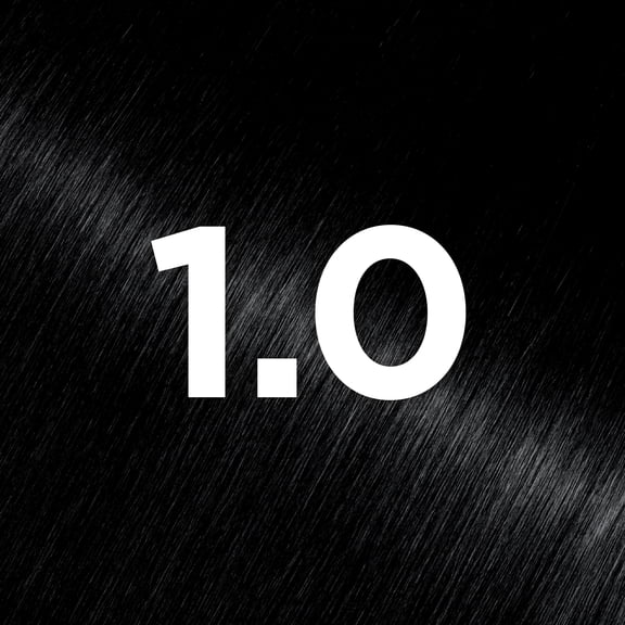 Garnier Olia Ammonia-Free Brilliant Color Oil-Rich Permanent Hair Color, 1.0 Black (Pack of 2) Black Hair Dye 2 Count