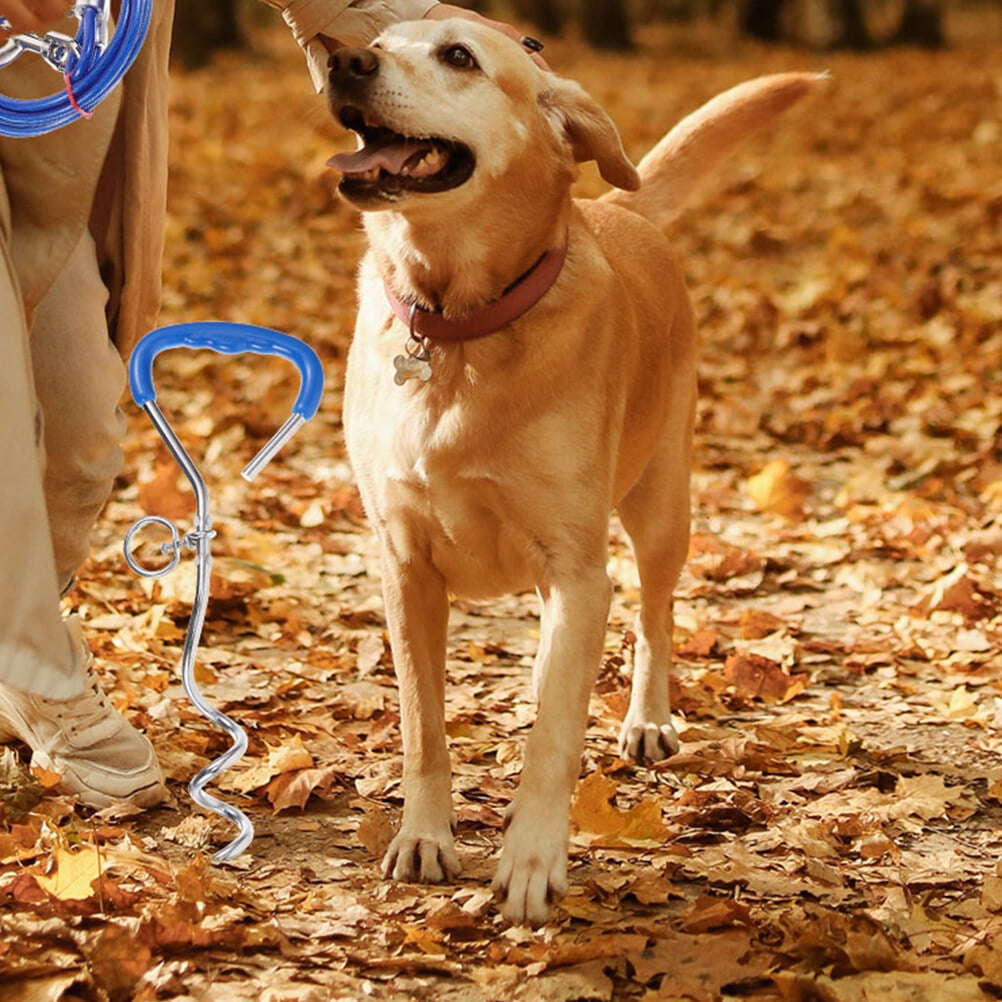 In ground stakes for dogs sale