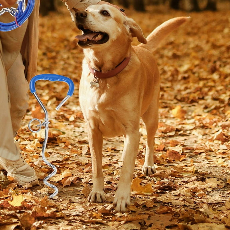 Dog Tie Out Stake Heavy Duty Dog Ground Stake Outdoor Dog Anchor