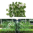 thumbnail image 1 of ziyahi Clôture de Jardin Rétractable Écran de Confidentialité Extérieur Feuilles Persistantes, 1 of 9