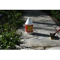 thumbnail image 5 of Krud Kutter Original Cleaner/Degreaser & Stain Remover, Gallon, 5 of 8