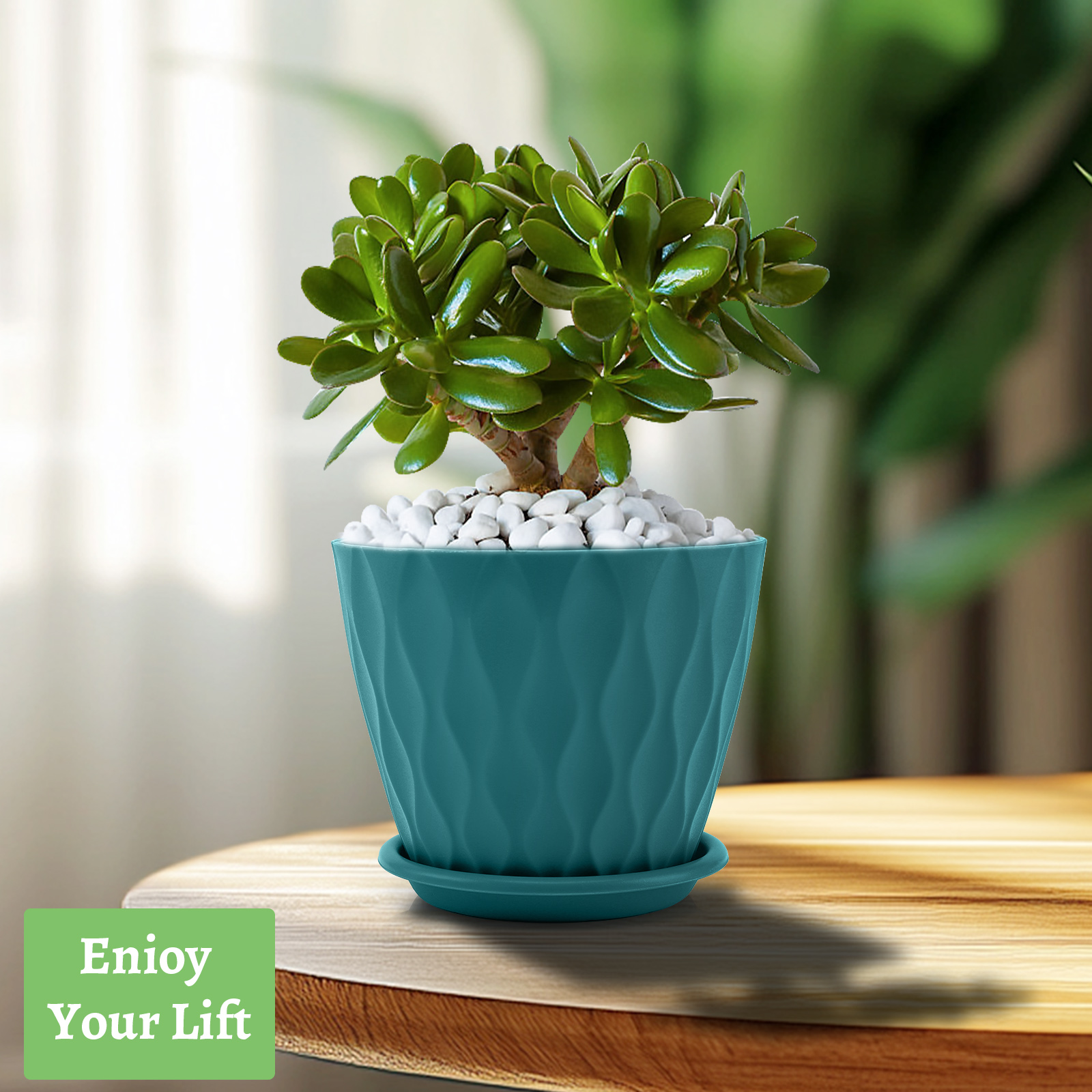 Foukus 6 Inch Plastic Plant Pots, 5 Pack Multicolor photo 4