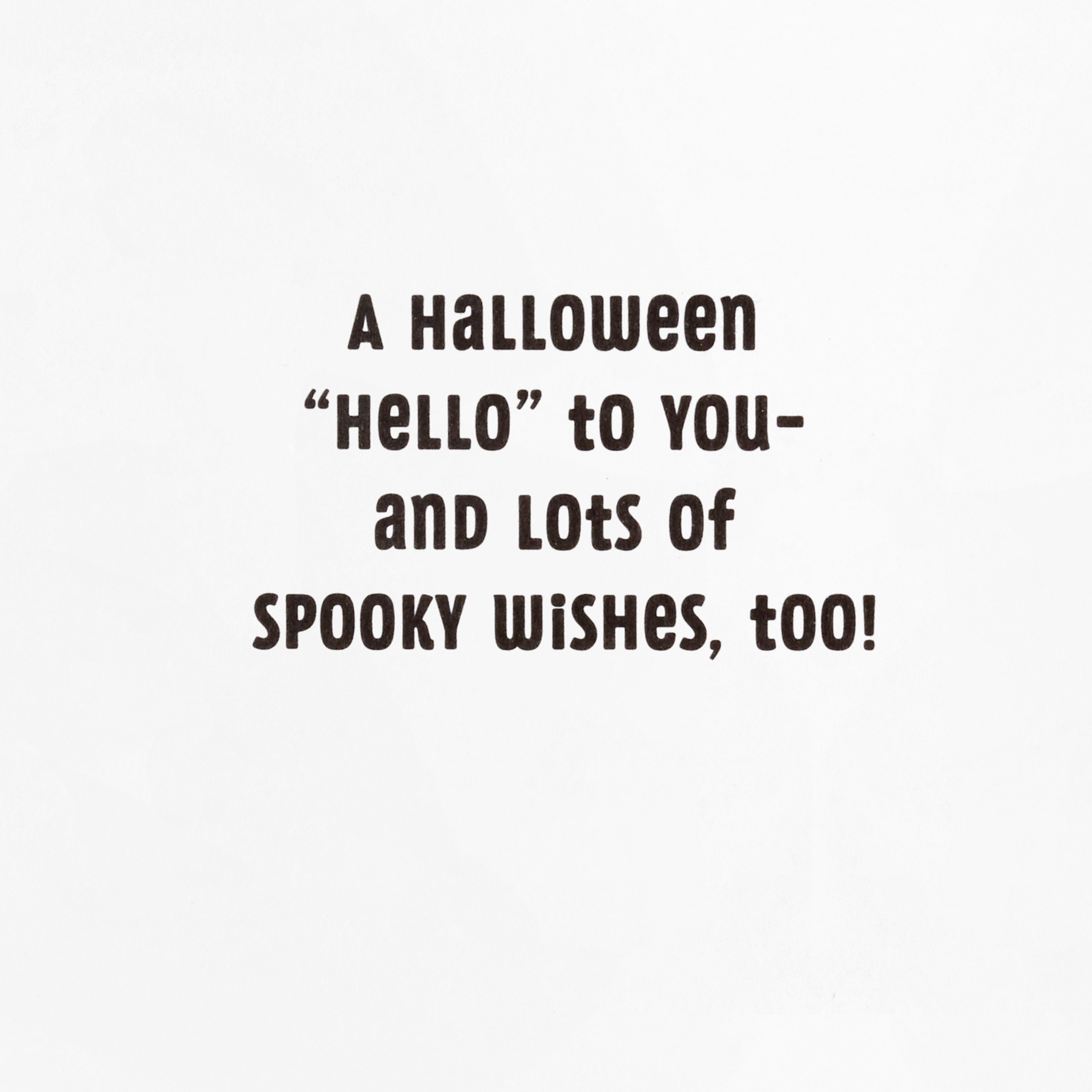 Hallmark Halloween Cards (Checkerboard Ghosts and Black Cats), 6 Count