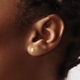 thumbnail image 3 of 14k Madi K Shell Post Earrings, 3 of 5