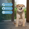 thumbnail image 5 of AeroLite No Pull Mesh Dog Harness with Lightweight, Soft, Breathable Chest Coverage, Reflective Stitching, and Adjustable Straps for Walking, Running, Training, Heavy Duty and Durable, 5 of 7