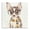 Hipster Chihuahua Puppy, variant on Stupell Industries Traditional French Bulldog Pop Portrait Black Floating Frame Canvas Art, 18 x 18, by Carolee Vitaletti