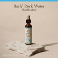thumbnail image 5 of Bach Original Flower Remedies, Rock Water - 20 mL Dropper, 5 of 6