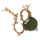 thumbnail image 1 of Accesorios para arañas saltarinas: Refugio para arañas saltarinas, tarántulas, escondites, accesorios con plantas artificiales, hojas y decoraciones para lagartos, dragones barbudos., 1 of 6