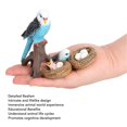 thumbnail image 3 of 4 Pcs Budgerigar Growth Cycle Toy PVC Budgie Figurine Educational Animal Life Cycle Toy for Children, 3 of 4