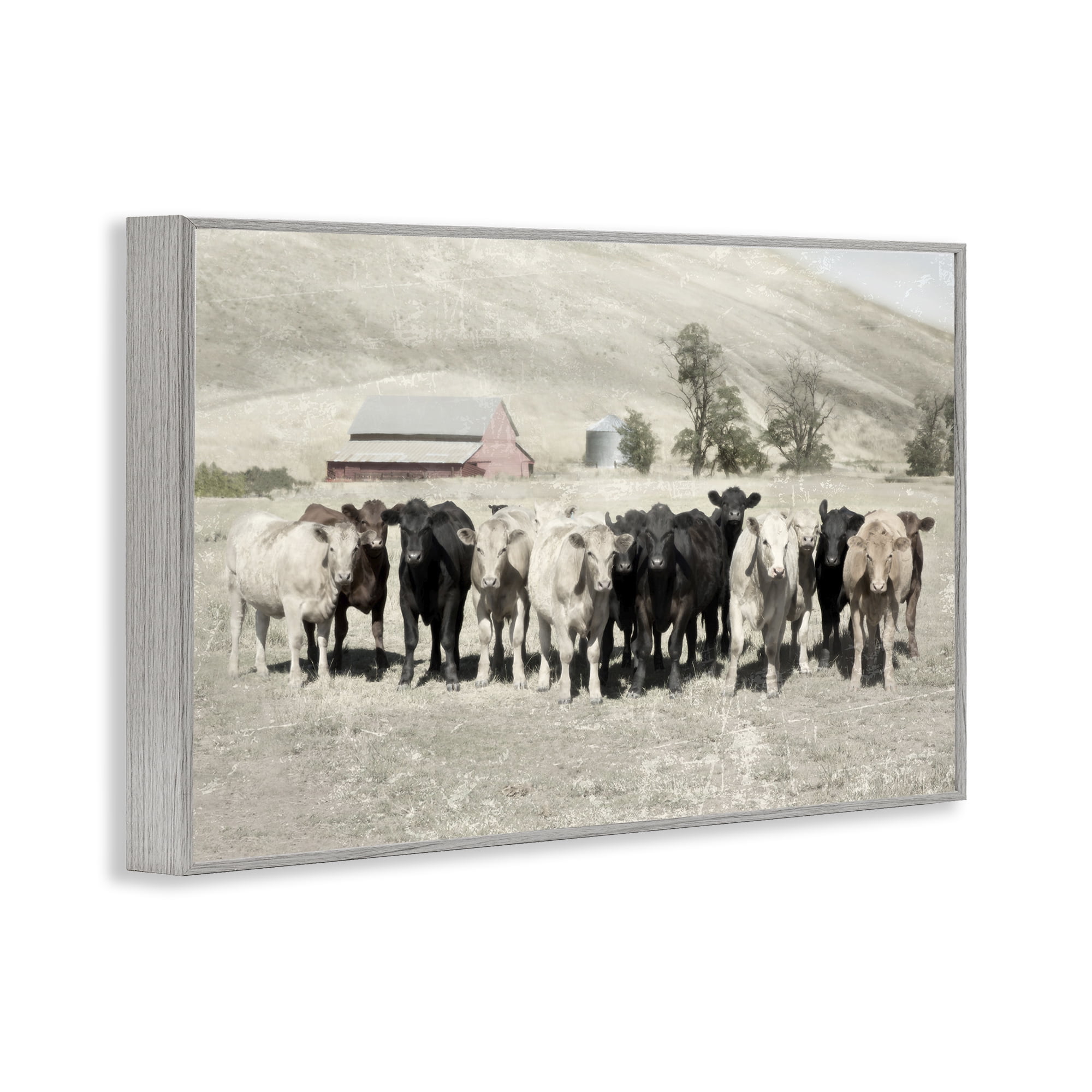 Stupell Industries Varied Cattle on Farm Landscape Painting Gray Framed Art Print Wall Art, 24 x 16