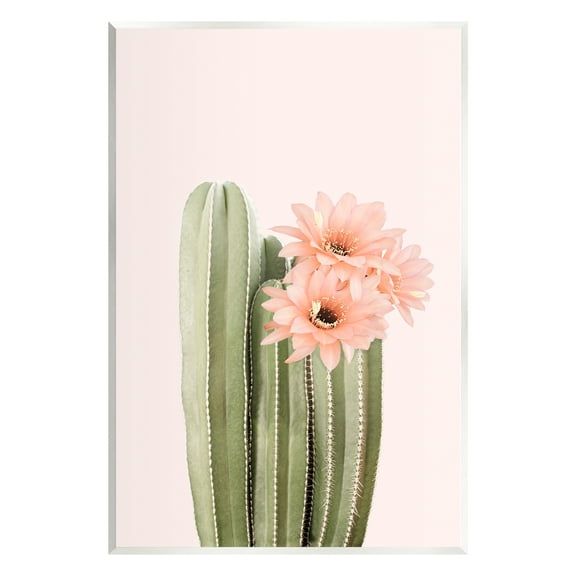 Stupell Industries Pink Flower on Cactus Botanical & Floral Painting Unframed Art Print Wall Art, 10 x 15