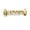 Gold-2, variant on Copper Zirconia Skeleton Design Teeth Grillz Single Piece, Silver or Gold Tone with Bone-Shaped Details, Hip Hop Party Dental Jewelry for Men & Women