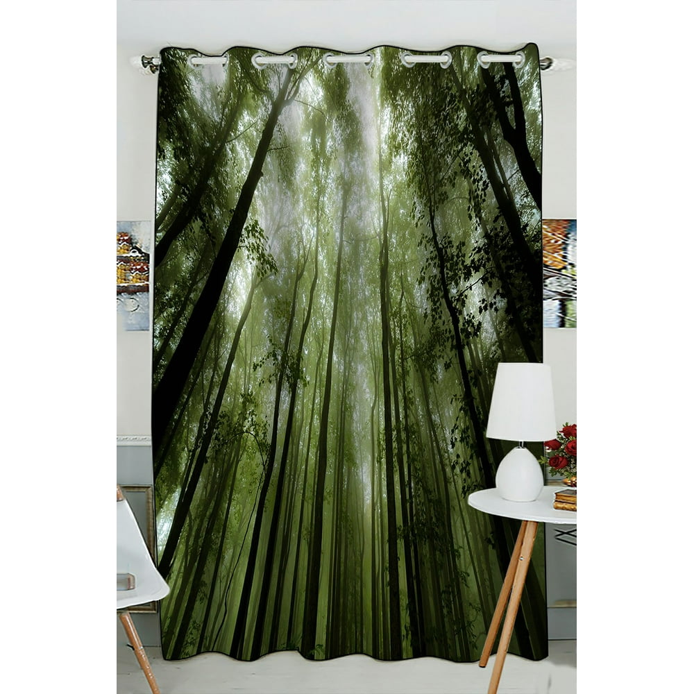 PHFZK Landscape Nature Scenery Window Curtain, Foggy Forest of Shenandoah Window Curtain
