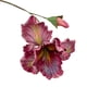 thumbnail image 1 of Ramo de iris artificial de 45 cm con tacto real y capullo para centro de mesa o arreglo floral de boda., 1 of 8