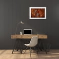 thumbnail image 3 of Shimlock, Jones 18x13 White Modern Wood Framed Museum Art Print Titled - Indonesia Zebra crabs on sea urchins, 3 of 4